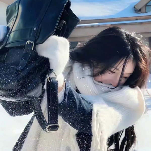 完美家伙